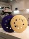 EVT ШЛИФОВАЛЬНЫЙ КРУГ PURPLE CERAMIC БУМАЖНАЯ ОСНОВА 125 ММ